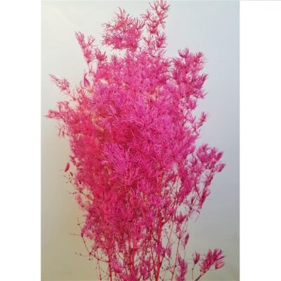 Feriga MING fucsia 50cm set 30g - imagine 2