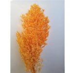 Feriga MING oranj 50cm set 30g - imagine 2