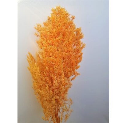 Feriga MING oranj 50cm set 30g - imagine 2