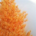 Feriga MING oranj 50cm set 30g