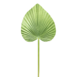 Frunza Palmier sulița artificiala 69cm