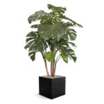 Monstera copac artificial deLux 140cm - imagine 2