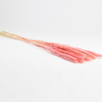 Pampas mini uscat Roz pal set