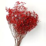 Floarea miresei stabilizata Rosu set 40g