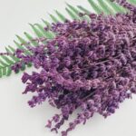 Buchet Lavanda uscata 40cm 60g Violet_pic