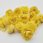Capete Trandafiri Ming 4cm galben x14
