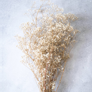 Floarea miresei stabilizata Alb Natur set 40g