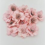 Flori Nufăr Ming 4cm Roz pal x14