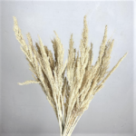 Iarba uscata Bulgur albit set 60g