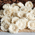 Margarete Ming 6cm alb ivoire x10