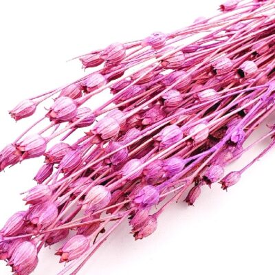 Nigella mini set 50cm liliac