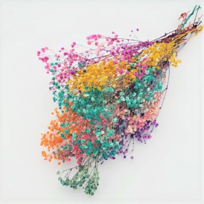 Floarea miresei stabilizata MIX buchet