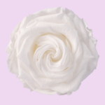 Trandafir criogenat 5cm alb 1buc