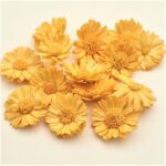 Margarete Ming 4cm Oranj x14