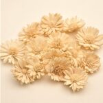 Margarete Ming 4cm Piersica x14