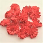 Margarete Ming 4cm Rosu intens x14