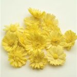 Margarete Ming 4cm Galben x14