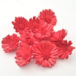 Margarete Ming 6cm Rosu intens x10