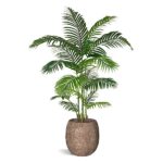 Palmier artificial Areca premium 160cm - imagine 2