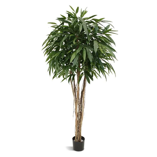 Un frumos copac artificial calitate premium, Ficus Longifolia. Un frumos copac artificial calitate premium, Ficus Longifolia.