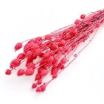 Floare uscata Centaurea rosu set 50cm