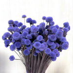 Flori uscate Nasturel Mov 50cm