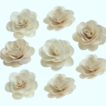 Capete flori Trandafir alb natur 6cm set 6buc