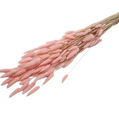 Lagurus baby pink set 70cm