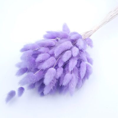 Lagurus mov deschis 70cm