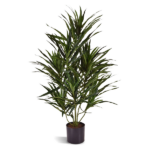 Dracaena Reflexa artificiala in ghiveci H75cm