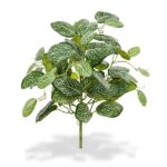 Fittonia variegata artificiala tufa H40cm