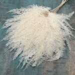 Feriga stabilizata Wood ivoiry set x10