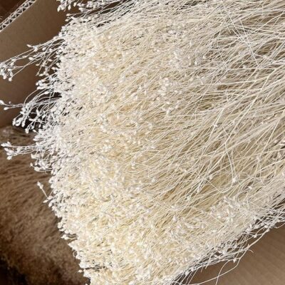Flori uscate Broom Bloom, Extra 100g Alb