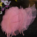 Frunze Magnolia voal roz pal x25