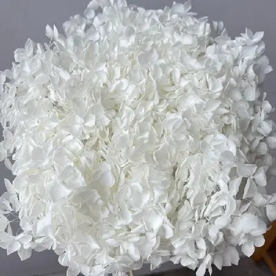 Hortensia stabilizata cu flori mici ALBA D20cm - imagine 3