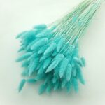 Lagurus premium cerulean set 100g