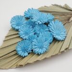 Margarete Ming 4cm Azur x14