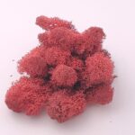 Licheni curatati fara radacina Greph Roze 200g