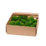 Muschi bombat stabilizat Verdissimo Verde Intens cutie L