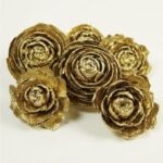 Conuri de brad pentru decoratiuni de Craciun