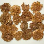 Con Cedar Rose 3-5cm bronz set 100g