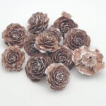 Con Cedar Rose 5-7cm alb-natur 100g