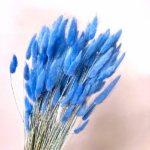 Lagurus premium royal blue set 100g