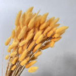 Lagurus premium warm yellow set 100g