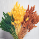 Lagurus premium verde set 100g - imagine 2