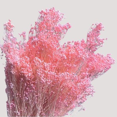 Flori uscate Broom Bloom premium Roz pal 100g