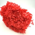 Hortensia stabilizata cu flori mici rosu D20cm