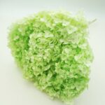 Hortensia stabilizata cu flori mici Lime D20cm
