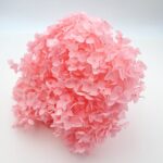 Hortensia stabilizata cu flori mici roz D20cm