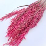 Ovăz premium cyclam set 100g